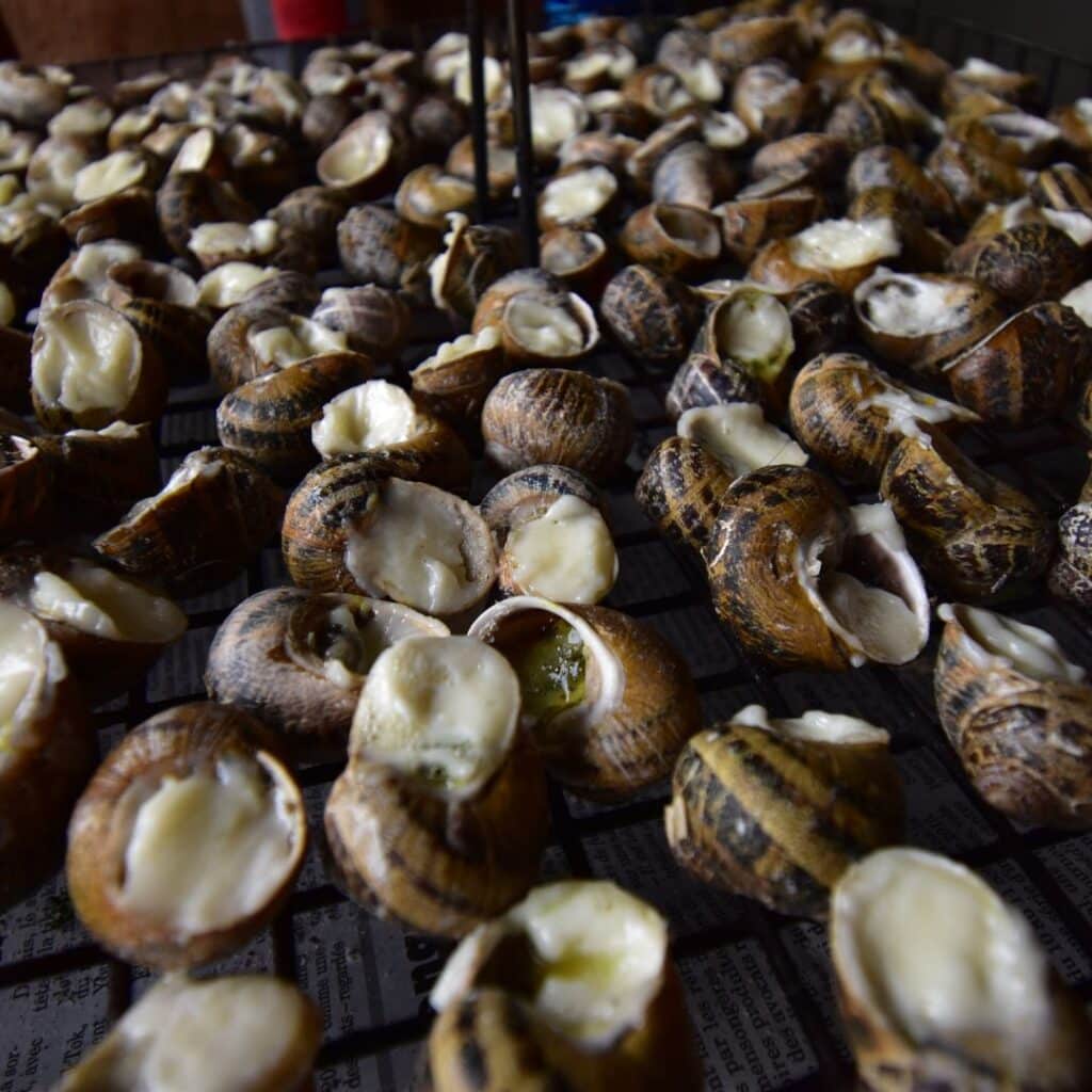 cargolade spécialités culinaires catalanes Sainte-Marie-la-Mer camping de la plage