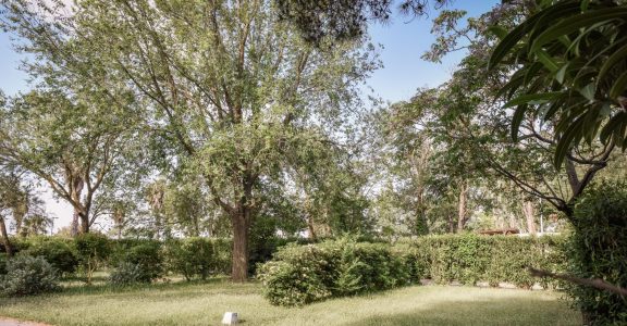 Campsite pitches in Sainte-Marie-la-mer